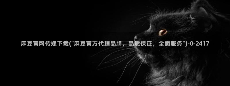 麻豆视频更新高清：麻豆官网传媒下载(\