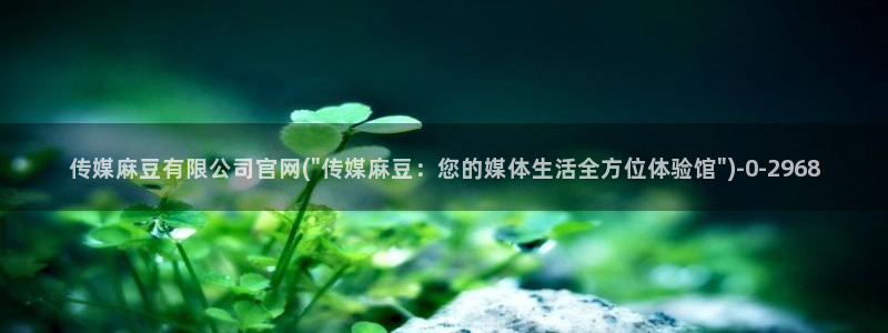 麻豆视频 推荐入口：传媒麻豆有限公司官网(\
