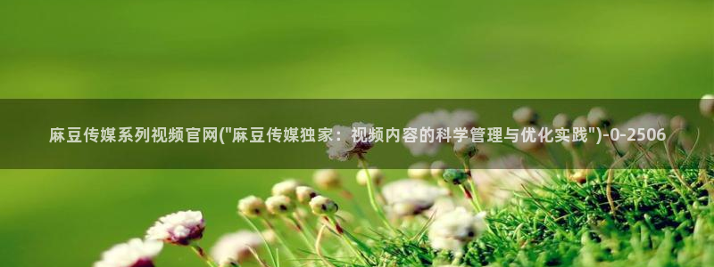 麻豆视频 视频：麻豆传媒系列视频官网(\