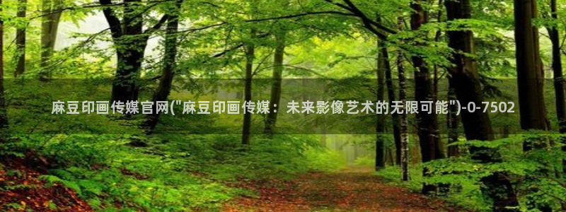 麻豆入口入口：麻豆印画传媒官网(\