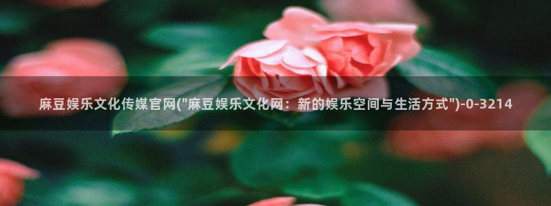 麻豆视频入口页面：麻豆娱乐文化传媒官网(\
