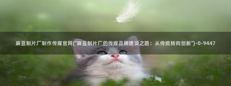 麻豆视频资源导航：麻豆制片厂制作传媒官网(\
