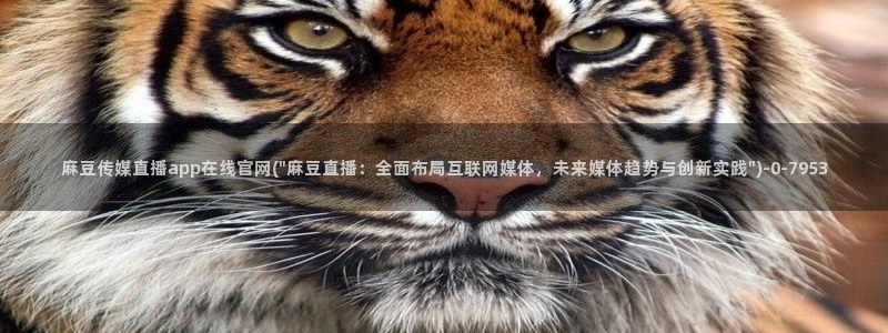 麻豆视频推荐入口：麻豆传媒直播app在线官网(\