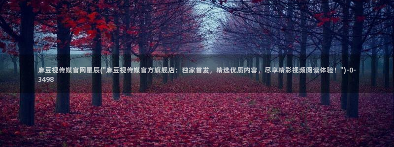 麻豆视频 更新推荐：麻豆视传媒官网星辰(\