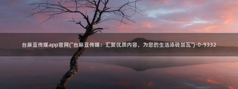 麻豆视频 图集专区：台麻豆传媒app官网(\