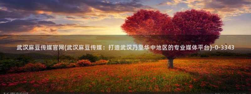 麻豆视频 图集专区：武汉麻豆传媒官网(武汉麻豆传媒：