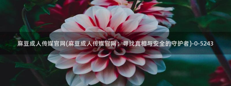 麻豆最新导航：麻豆成人传媒官网(麻豆成人传媒官网：寻