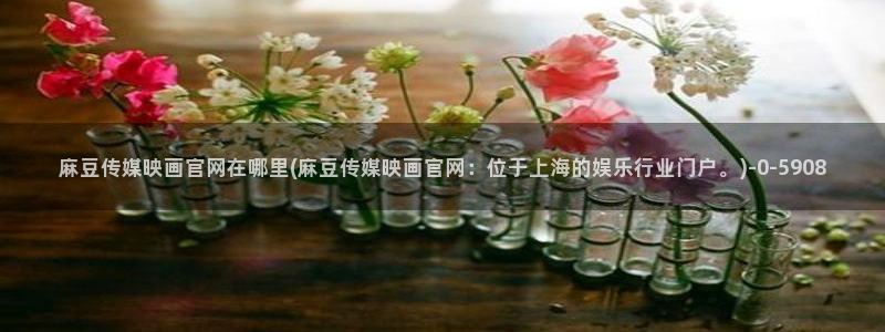 麻豆官方下载：麻豆传媒映画官网在哪里(麻豆传媒映画官网：位于上海的娱乐行业门户。)