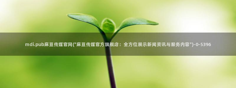 麻豆视频