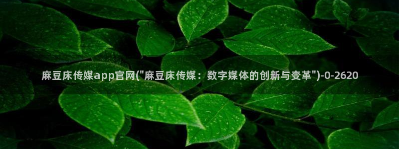 麻豆视频入口整理：麻豆床传媒app官网(\