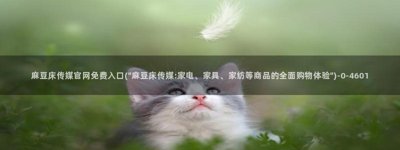 麻豆视频 图集合集：麻豆床传媒官网免费入口(\