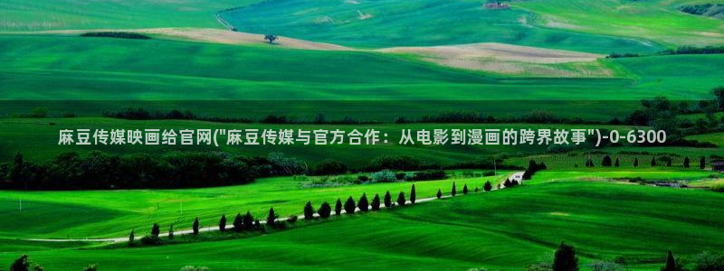 麻豆视频 入口在线看：麻豆传媒映画给官网(\