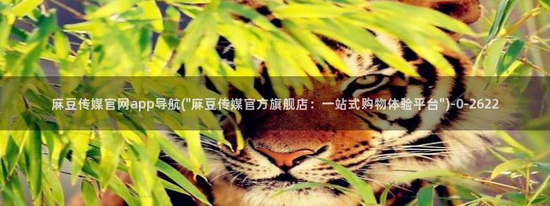 麻豆视频图集完整版