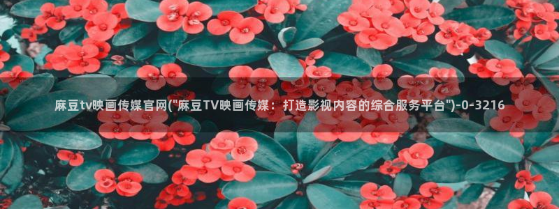 麻豆视频 官方视频