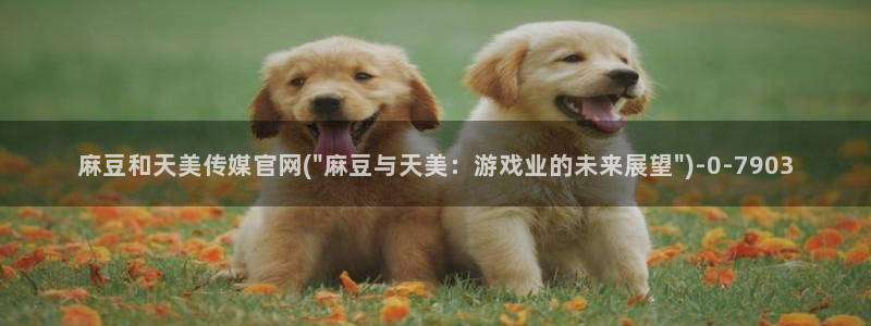 麻豆视频 专区推荐：麻豆和天美传媒官网(\