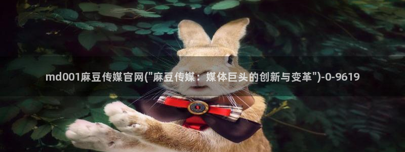 麻豆视频专区推荐