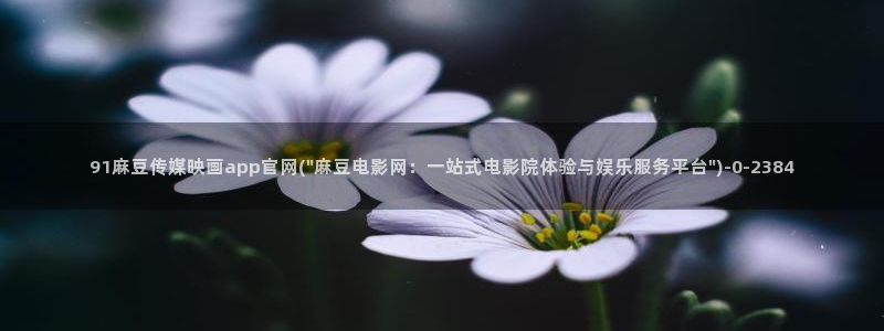 麻豆入口视频