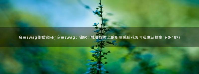 麻豆视频系列资源