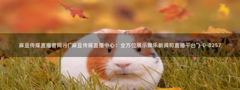 麻豆视频 更新：麻豆传媒直播官网污(\