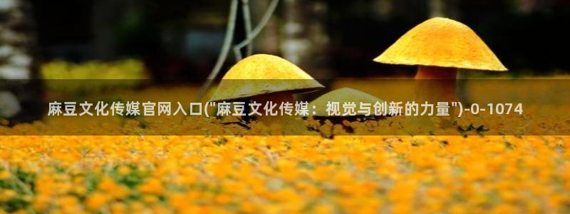 麻豆资源导航：麻豆文化传媒官网入口(\