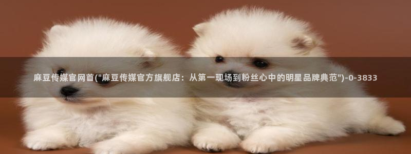 麻豆视频 官方入口：麻豆传媒官网首(\