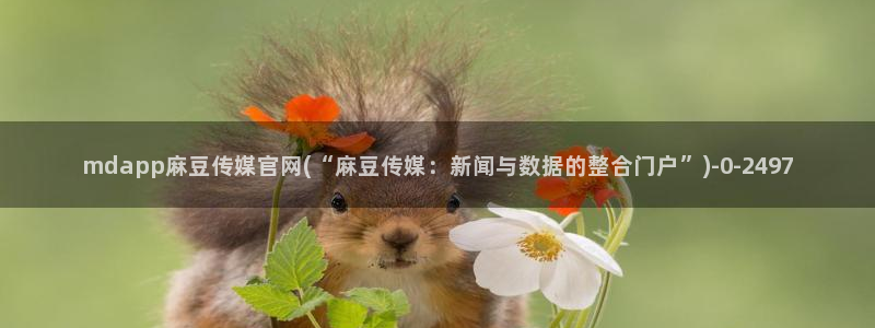 麻豆视频最新下载：mdapp麻豆传媒官网(“麻豆传媒：新